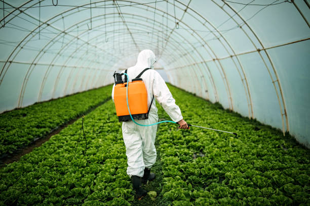 Best Best Pest Control Companies  in Simpsonville, SC