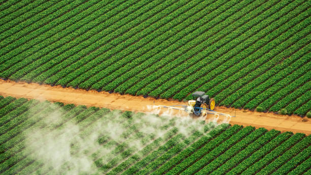 Best Affordable Exterminators  in Simpsonville, SC