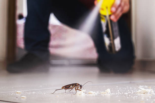 Best Best Pest Control Companies  in Simpsonville, SC