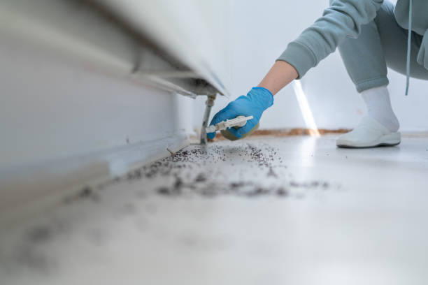 Best Emergency Pest Control  in Simpsonville, SC